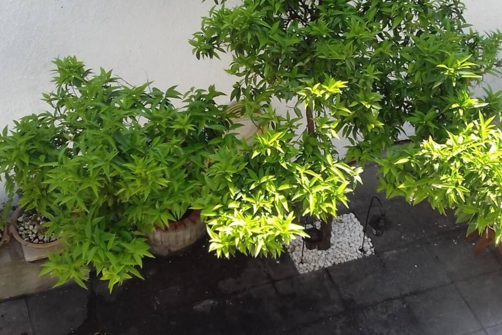 Plateia Apartments Áyios Nikólaos Ngoại thất bức ảnh